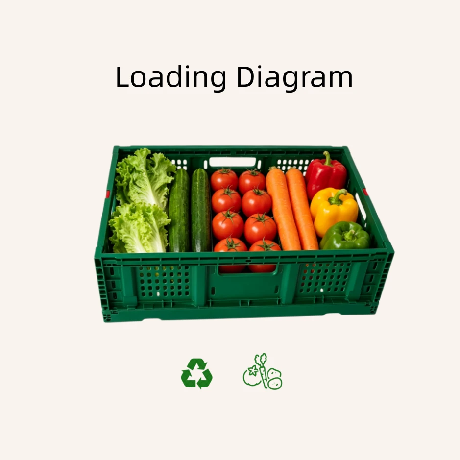Collapsible Ventilated Storage Crate best
